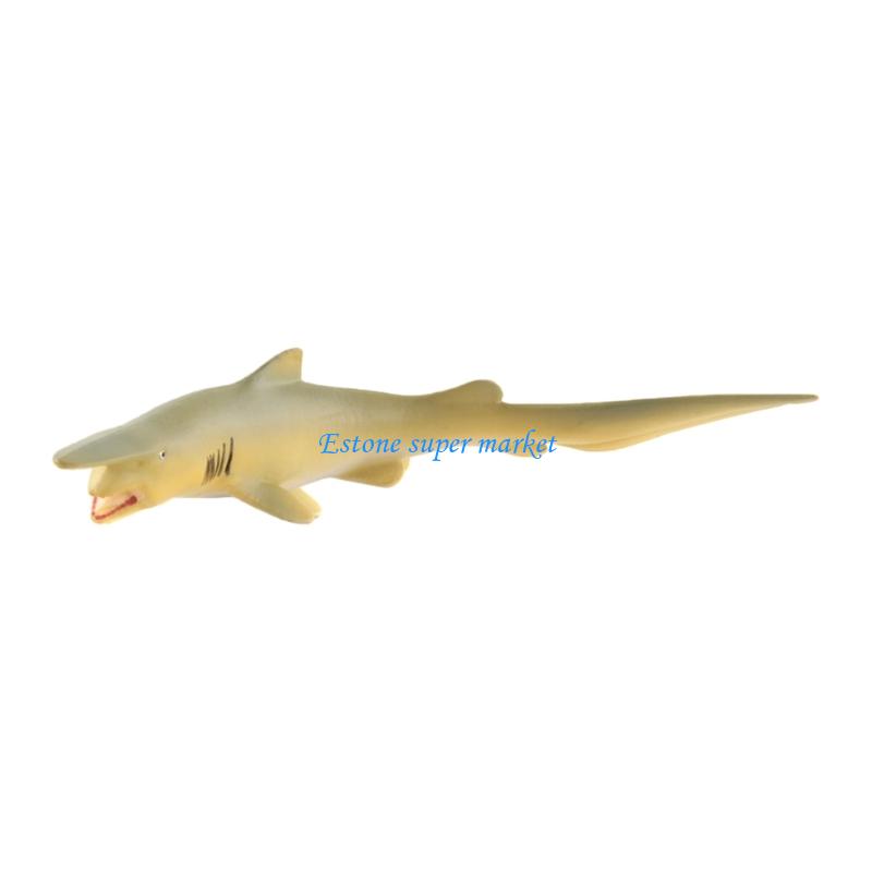 090B Moray Fish Modelo Criatur - Science Exhibition Models avaliação e preço